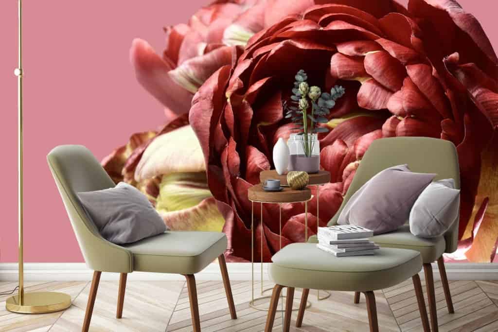 Wallpaper Elements and Colors:
- Large vibrant red flower
- Pink backdrop
- Close-up floral details