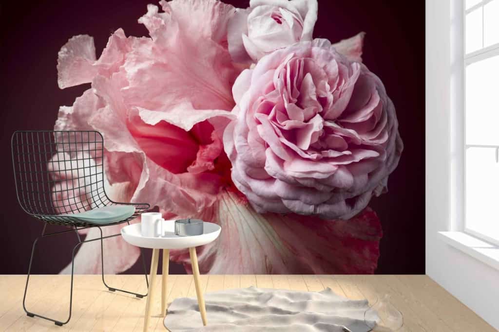 Wallpaper features: large mural, close-up pink rose, peony, dark background. Elements and colors: pink petals, floral design, deep dark tones.