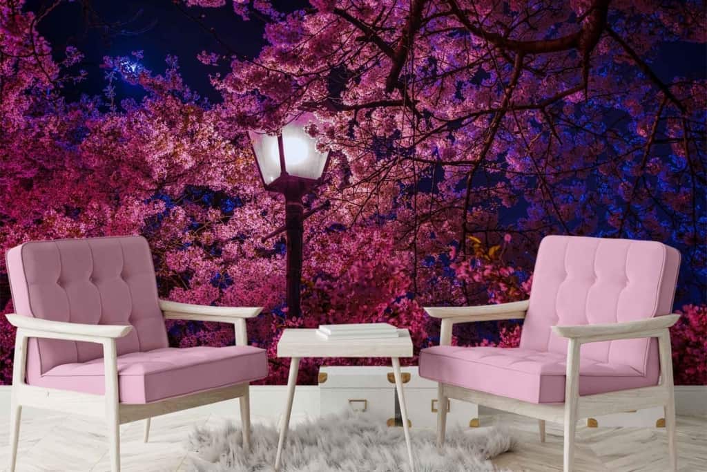 Wallpaper features blooming pink cherry blossoms at night, illuminated by a street lamp. Colors include vibrant pink flowers set against a dark background.