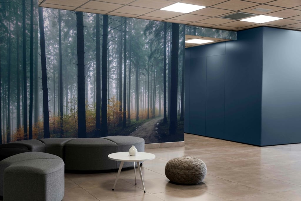The wallpaper in the modern lobby features a forest theme with towering trees, their leaves forming a lush canopy overhead. The path to freedom meanders through the dense green foliage, leading the eye toward a bright clearing in the distance, symbolizing openness and possibility. The palette incorporates various shades of green from deep emerald to light moss, mixed with earthy browns for tree trunks and rich soil. Delicate highlights of sunlight filter through the branches, adding glimmers of gold that evoke early morning or late afternoon rays in this serene woodland scene.