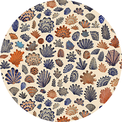A circular pattern from CS & Co features intricately designed seashells in shades of blue, orange, and beige on a light background. Various shapes and sizes of shells create a visually appealing collection. Elements include: seashells, blue, orange, beige, diverse shapes and sizes, light background.