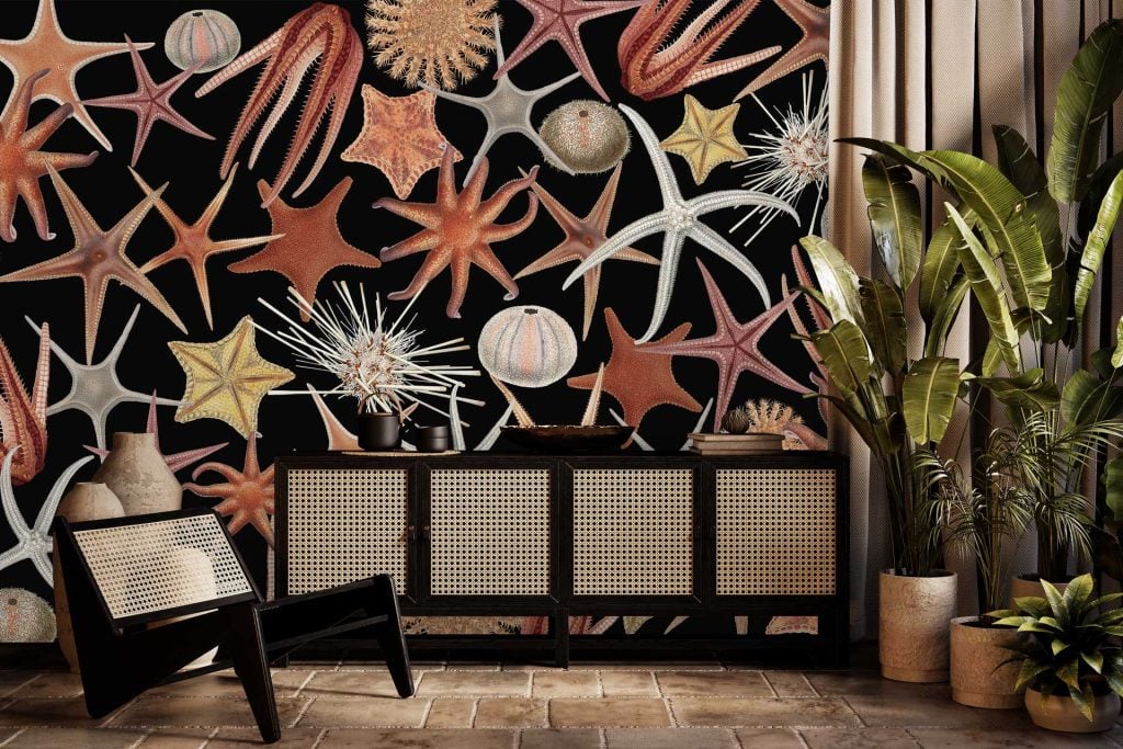 Starfish pattern wallpaper, orange, pink, beige tones, subtle blue accents.