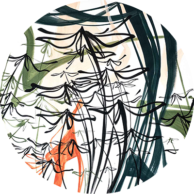 Abstract wallpaper featuring stylized black, green, and orange lines forming plant-like shapes on a white background. Overlapping forms create dynamic movement and depth.