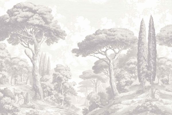 A vintage, hand-drawn wallpaper showcases a serene forest landscape in detailed shades of grey. Tall trees with intricate bark and leaf textures form the dense foliage, their overlapping branches creating depth. Rolling hills fade gently into the distance, adding dimension to the background. The monochromatic color palette—ranging from soft silvers and light greys to deep charcoal tones—emphasizes shadows and highlights. All elements are rendered in an engraved, engraved-illustration style that gives the scene a timeless, elegant feel perfect for classic interior decor searches: *grey forest wallpaper*, *engraved woodlands mural*, *vintage hand-drawn landscape wallcovering*.
