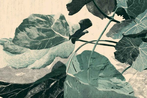 Wallpaper featuring large, overlapping green leaves with bold veins and slender stems, set against a pale, textured background. The design emphasizes leafy botanical elements and a vintage print effect in green and cream tones.