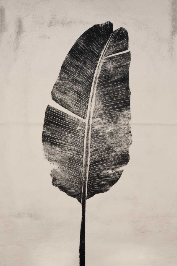 Monochrome wallpaper featuring a single large banana leaf with detailed veins, set vertically against a plain light background; tropical, minimalist design.